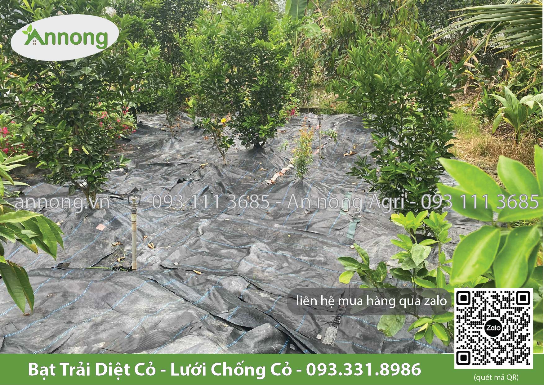 bat-phu-chong-co-gia-re