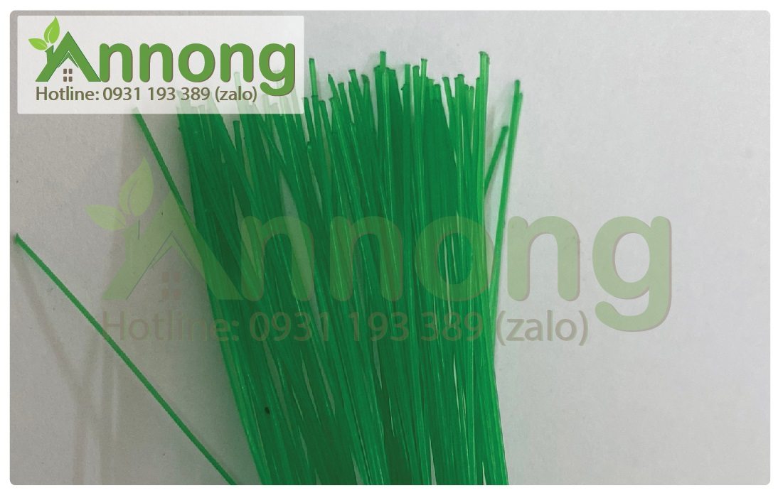 day-cot-luoi-va-day-dau-cac-loai-4