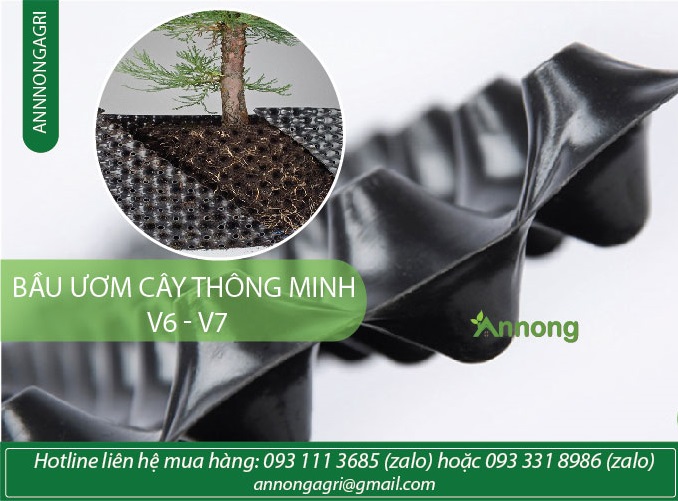 Bầu Ươm Cây Thông Minh V6 8 bau-uom-cay-thong-minh
