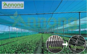 Lưới che nắng dệt kim đài loan