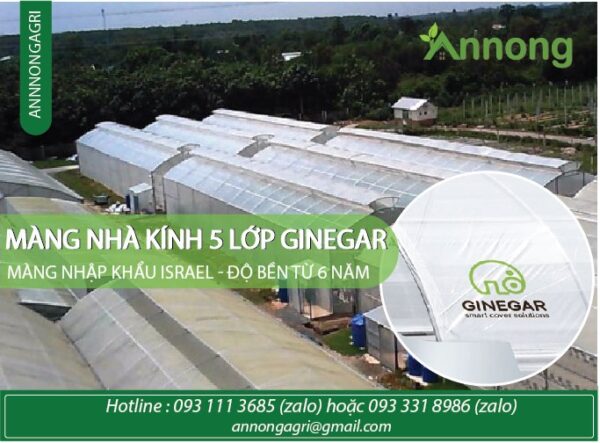 Màng Ginegar nhà kính 5 lớp chính hãng, công nghệ cao