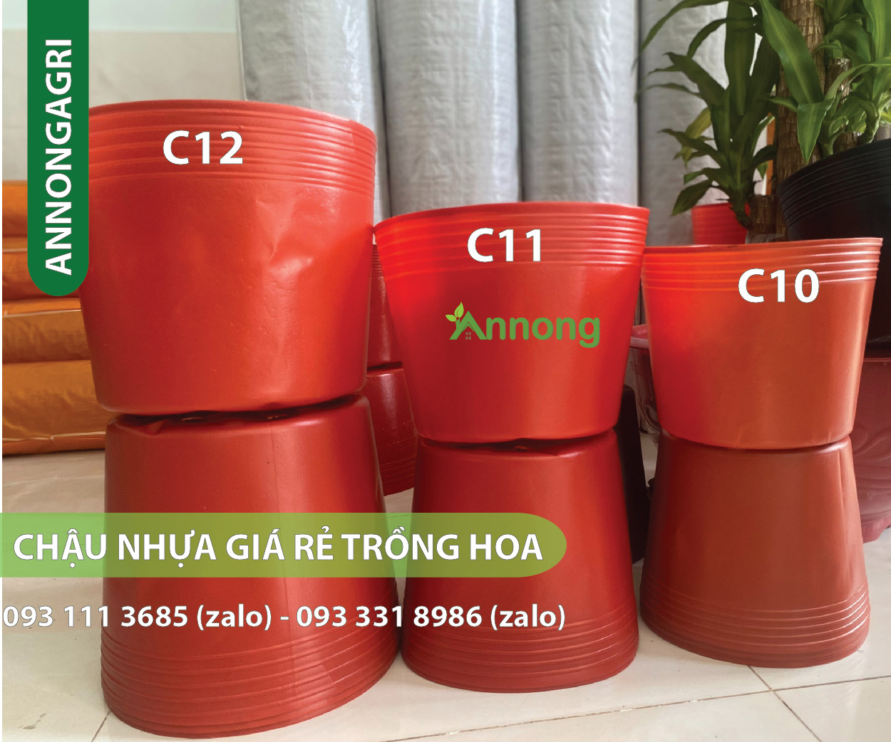 Chậu mũ dẻo màu đỏ trồng vạn thọ