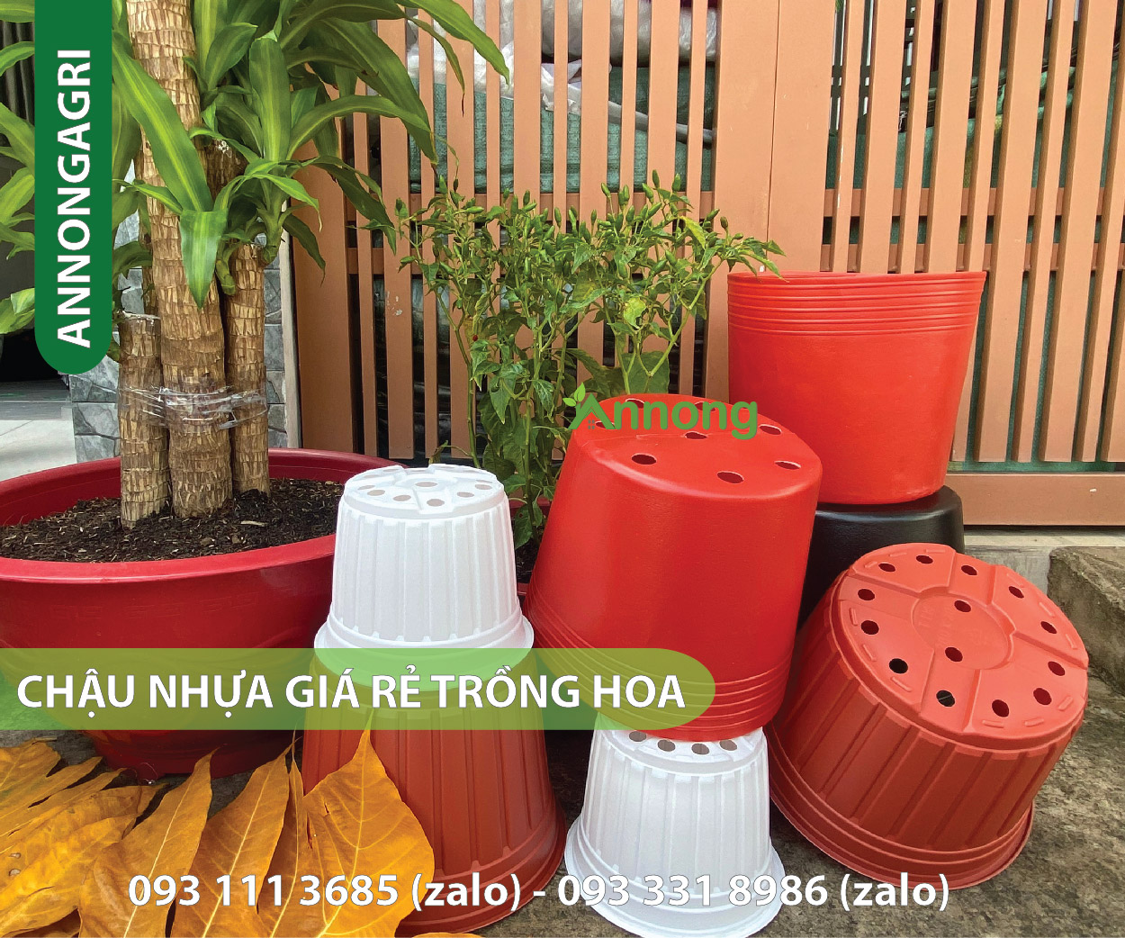 Chậu nhựa trồng hoa vạn thọ giá rẻ