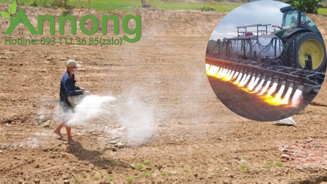 Don-dep-dat-truoc-khi-xay-dung-nha-luoi-trong-rau