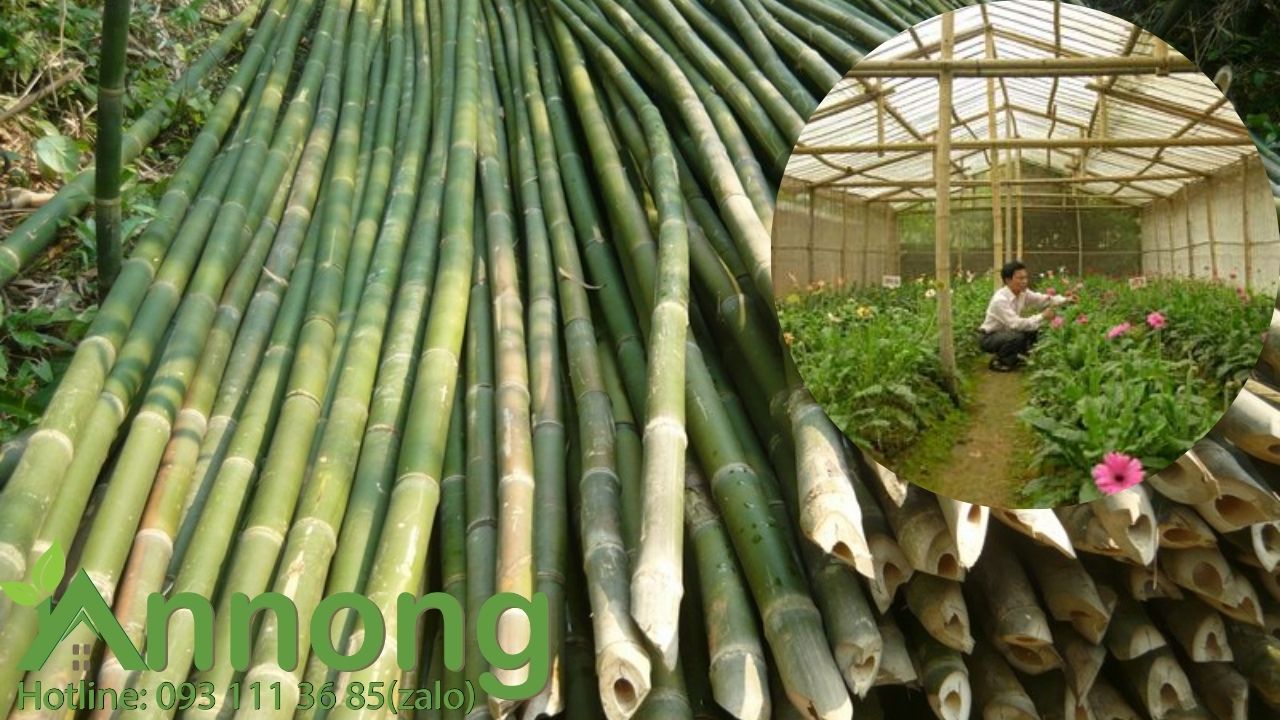 Cach-lam-nha-luoi-trong-rau-bang-tre-don-gian