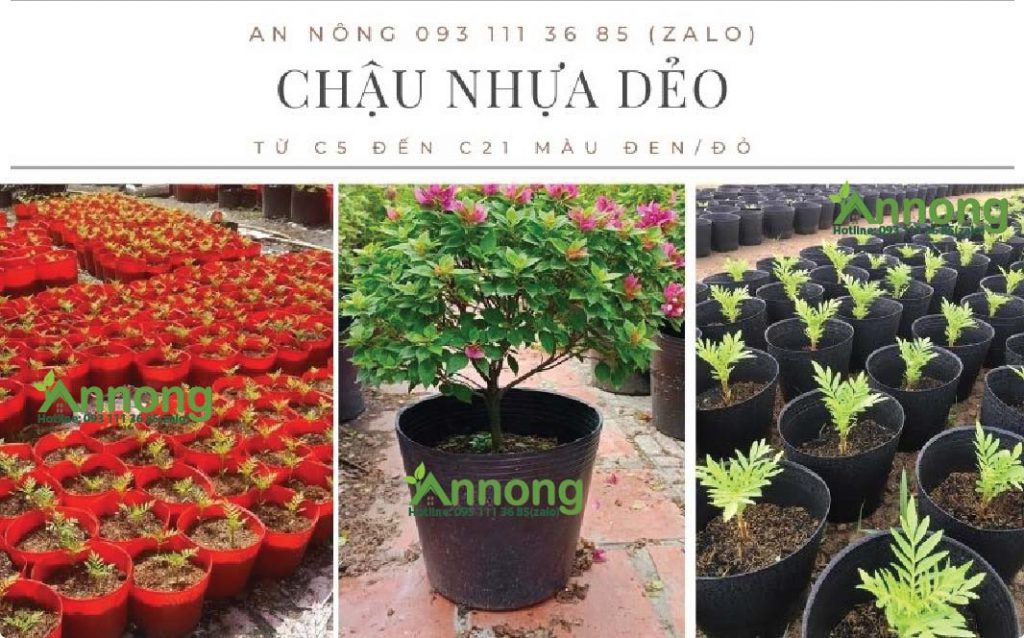 Chậu Nhựa Đỏ Trồng Hoa Tết Mới Nhất 10 chau-nhua-do-trong-hoa-tet-moi-nhat-2