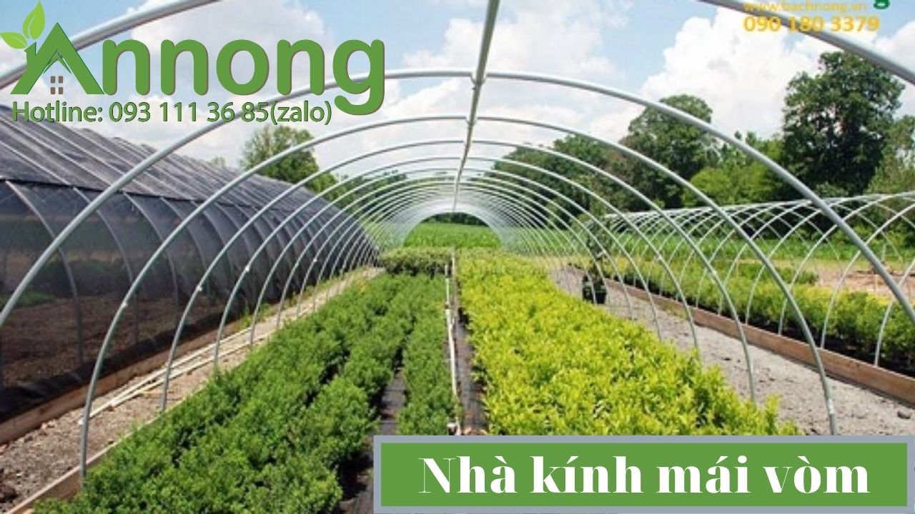 nha-luoi-trong-rau-mai-vom