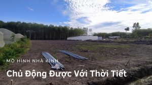 mo-hinh-nha-kinh-trong-rau-sach-01