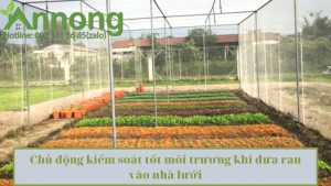 trong-rau-trong-nha-luoi-giup-kiem-soat-tot-dich-hai