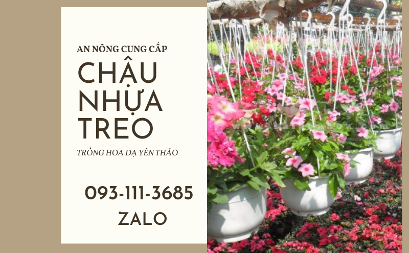 trong-da-yen-thao-trong-chau-nhua-gia-re-5