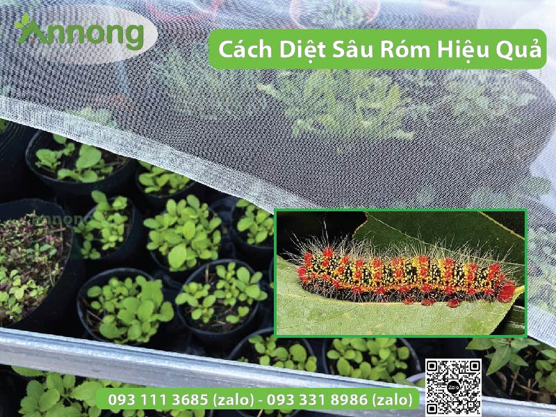 3 +Cách Diệt Sâu Róm Bảo Vệ Vườn Cây