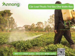 cac-loai-thuoc-tru-sau-pho-bien-cho-vuon-rau