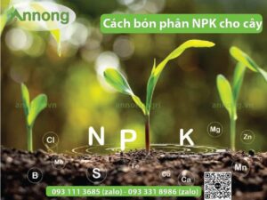 cach-bon-npk-cho-cay-an-qua