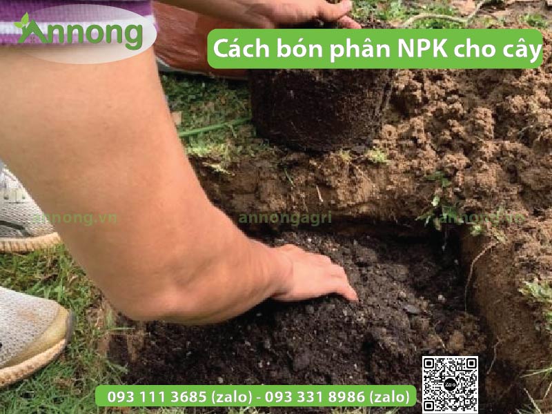 phan-npk-la-gi?