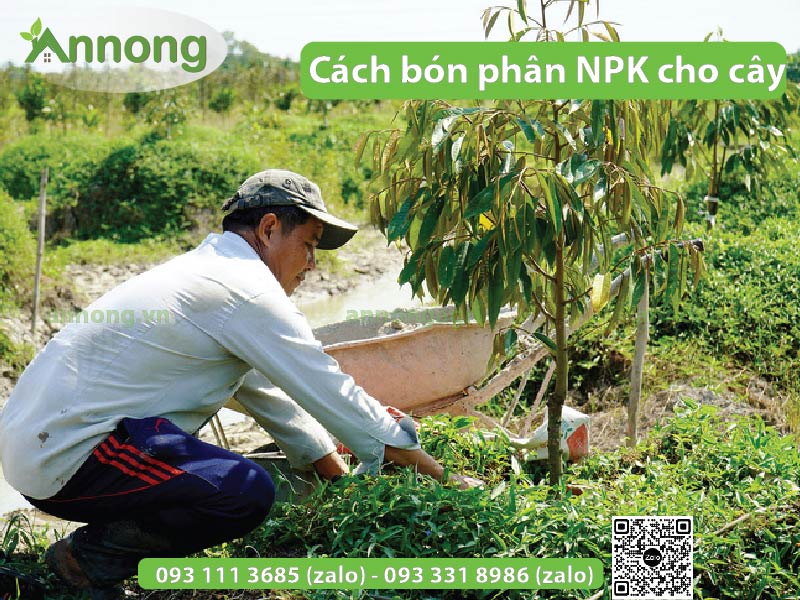 phan-npk-la-gi?-34