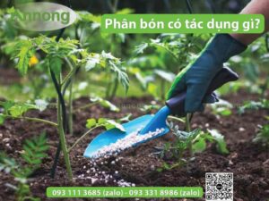 phan-bon-co-tac-dung-gi-doi-voi-cay-trong
