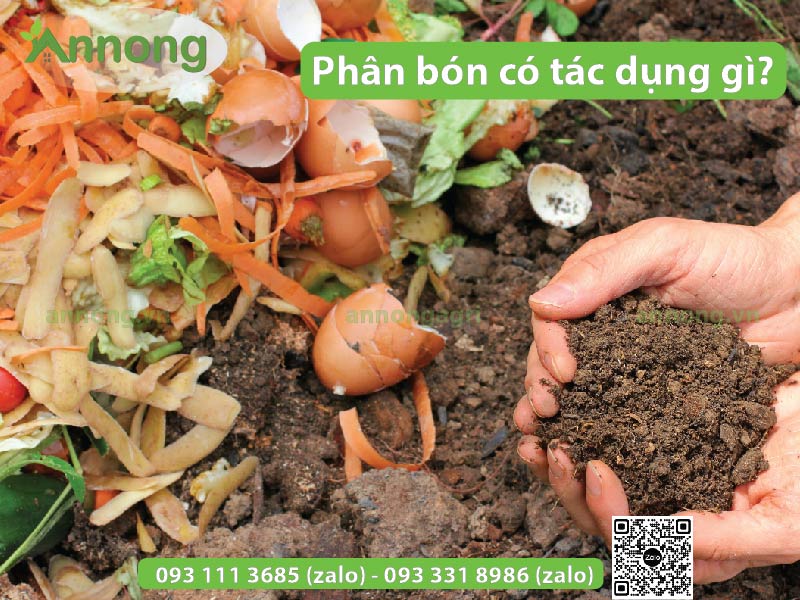 phan-bon-co-tac-dung-gi-doi-voi-cay-trong1