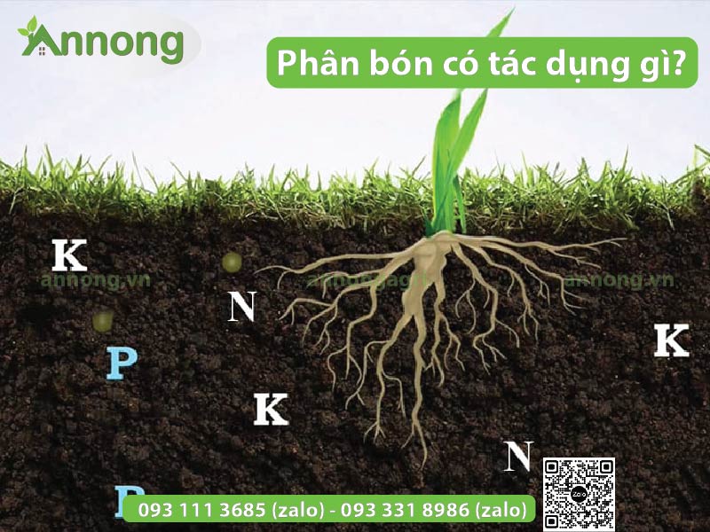 phan-bon-co-tac-dung-gi-doi-voi-cay-trong2