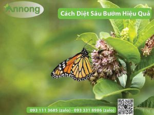 cach-diet-sau-buom