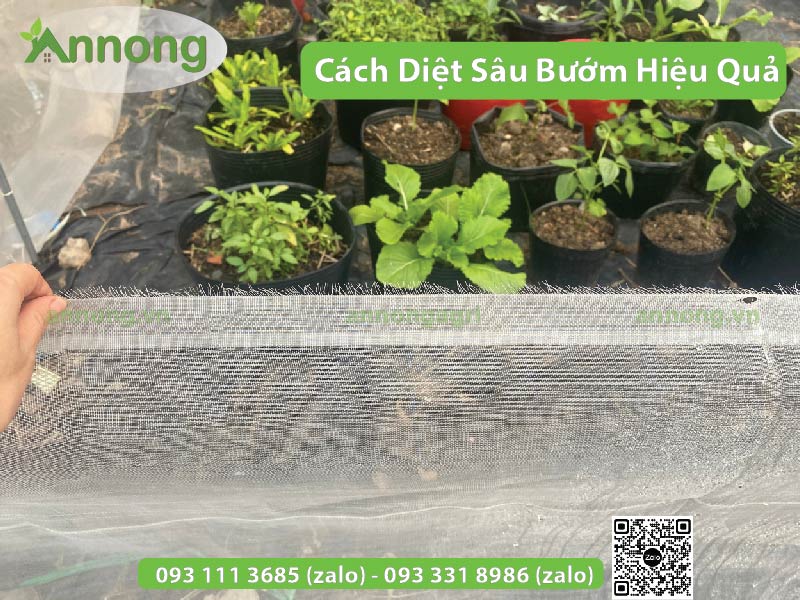 cach-diet-sau-buom3