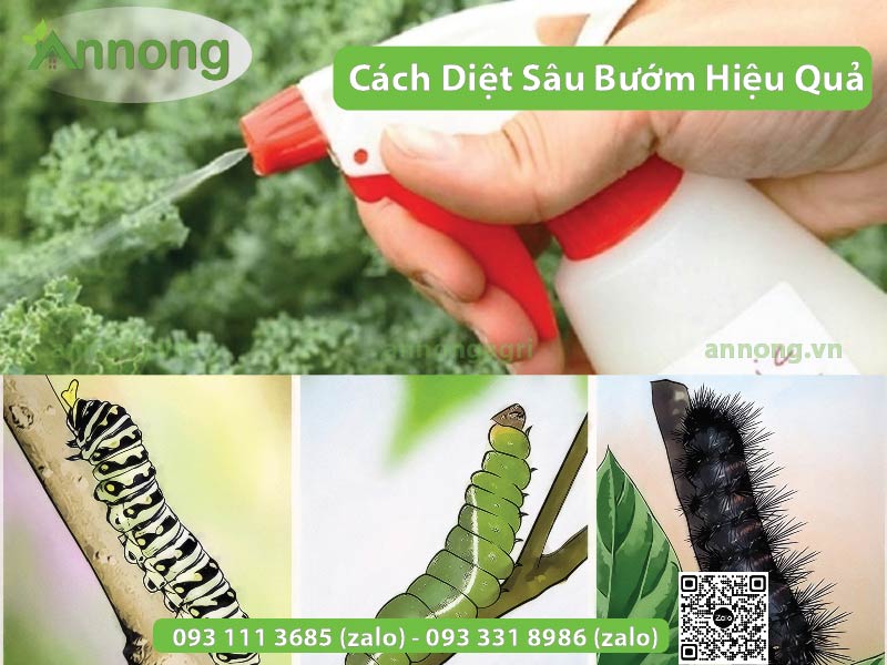 cach-diet-sau-buom5
