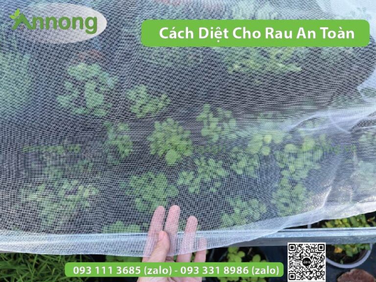 3+ cách Diệt Sâu Cho Rau an toàn & đơn giản