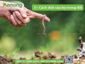 top-3-cach-diet-sau-bo-trong-dat-hieu-qua-nhat