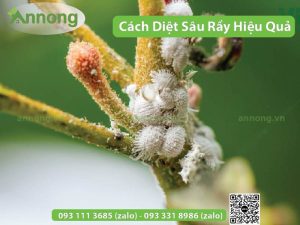 top-3-cach-diet-sau-ray-tren-cay-an-trai