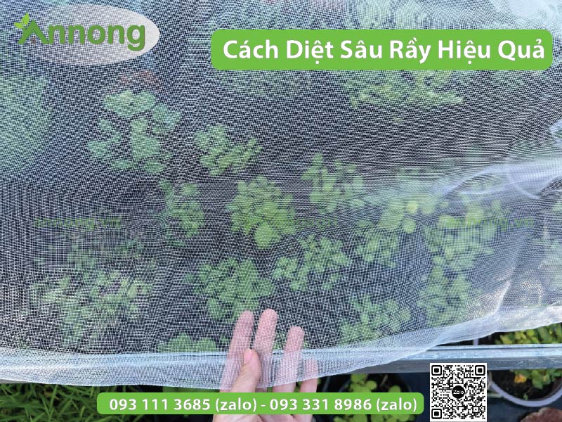 top-3-cach-diet-sau-ray-tren-cay-an-trai5