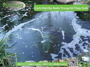 cach-diet-bo-nuoc-trong-ho-thuy-sinh-1-01-1.