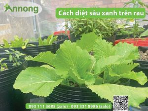 cach-diet-sau-tren-rau2