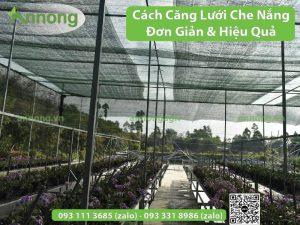 cach-cang-luoi-che-nang-01
