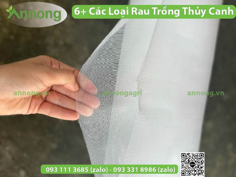 cac-loai-rau-trong-thuy-canh-4