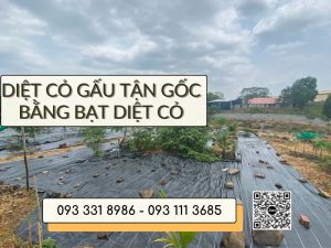 cach-diet-cay-co-gau-hieu-qua-annongagri