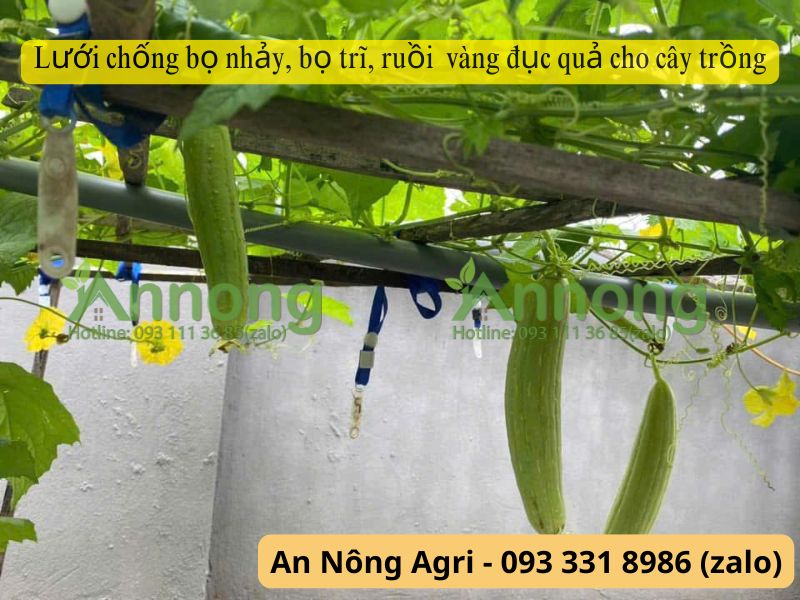 tự thụ phấn là gì