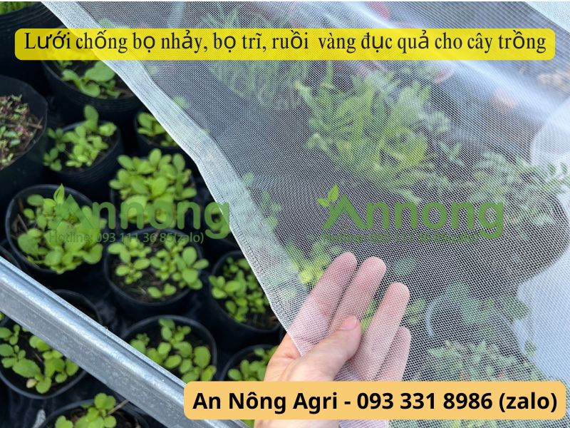 Tự thụ phấn là gì