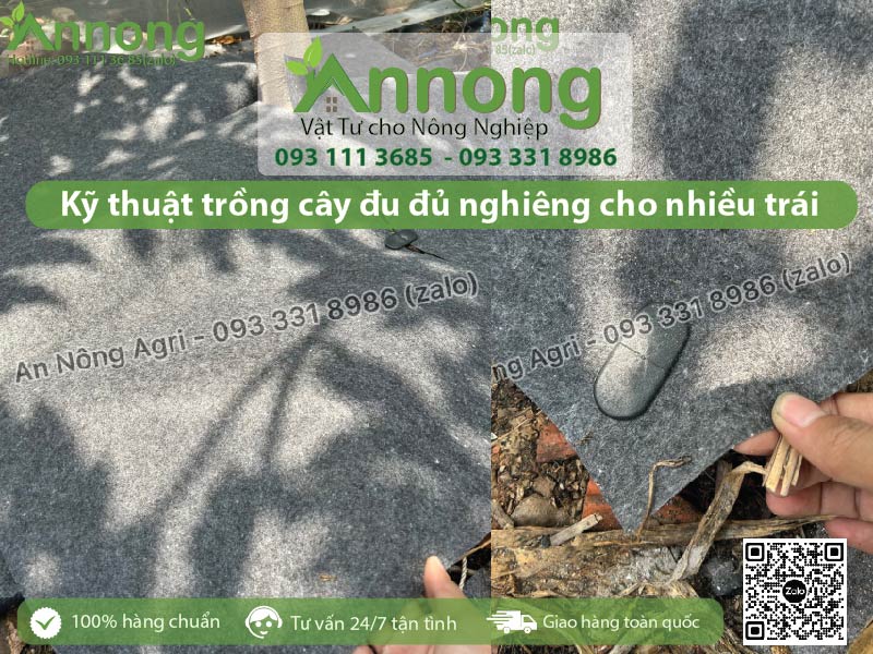 y-thuat-trong-cay-du-du-nghieng-5