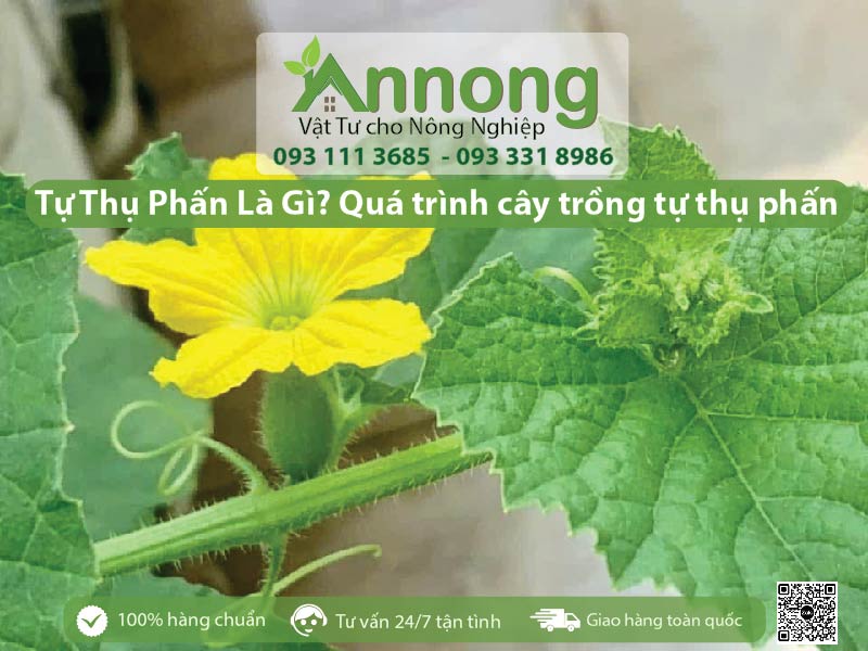 qua-trinh-thu-phan-va-huong-dan-cach-thu-phan-cho-na-2