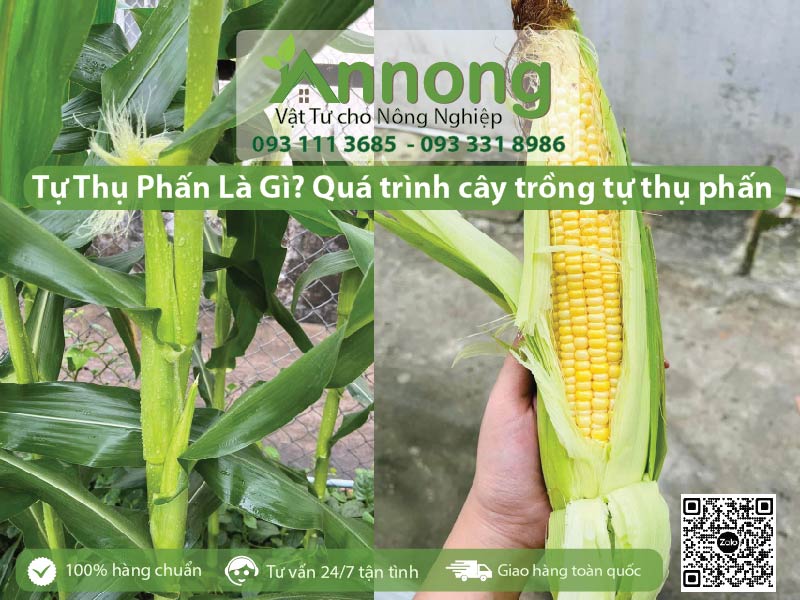 qua-trinh-thu-phan-va-huong-dan-cach-thu-phan-cho-na-3