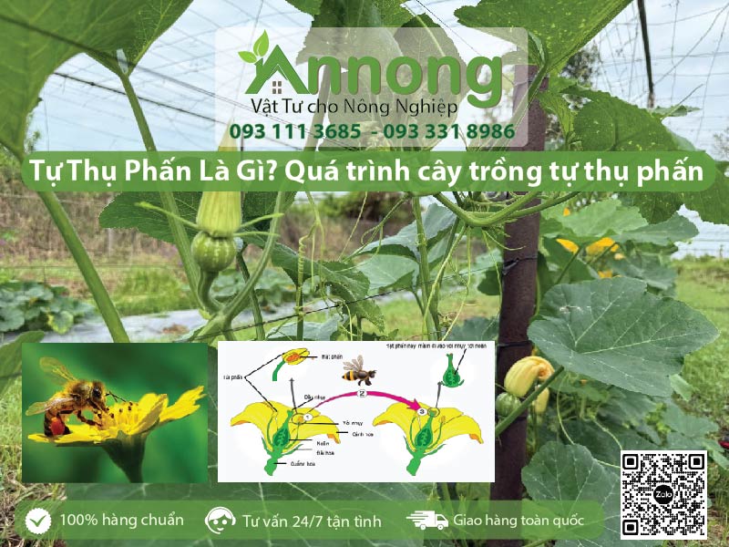 qua-trinh-thu-phan-va-huong-dan-cach-thu-phan-cho-na-4