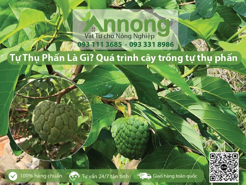 qua-trinh-thu-phan-va-huong-dan-cach-thu-phan-cho-na-5