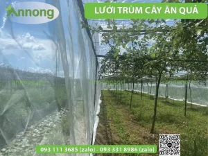 luoi trum cay an trai luoi mung nong nghiep 01