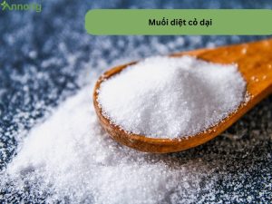 muoi-diet-co-dai-3123213