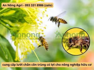 nhung-loai-con-trung-co-loi-cho-cay-trong-an-nong-agri