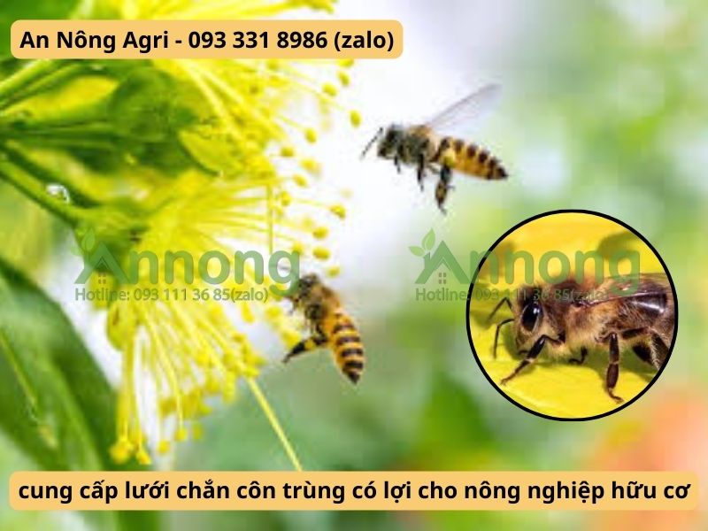 nhung-loai-con-trung-co-loi-cho-cay-trong-an-nong-agri