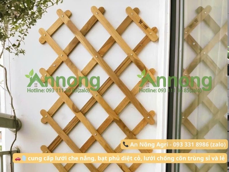 cach-trong-hoa-hong-trong-chau-an-nong-agri (1)