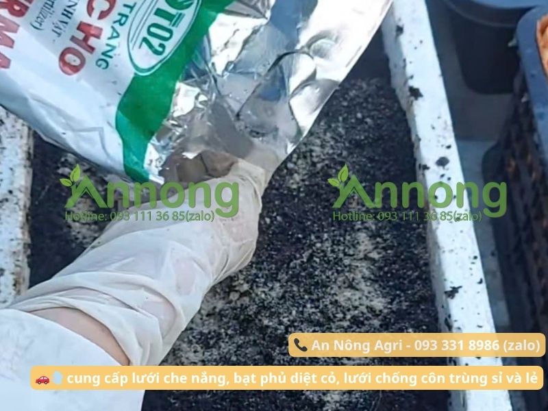 3 Cách Ủ Bã Cà Phê Bón Cây Dễ Áp Dụng Tại Nhà 5 cach-u-ba-ca-phe-bon-cay-an-nong-agri (4)