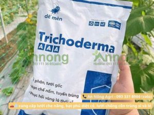 cach-u-phan-chuong-hoai-muc-bang-che-pham-sinh-hoc-trichoderma-an-nong-agri