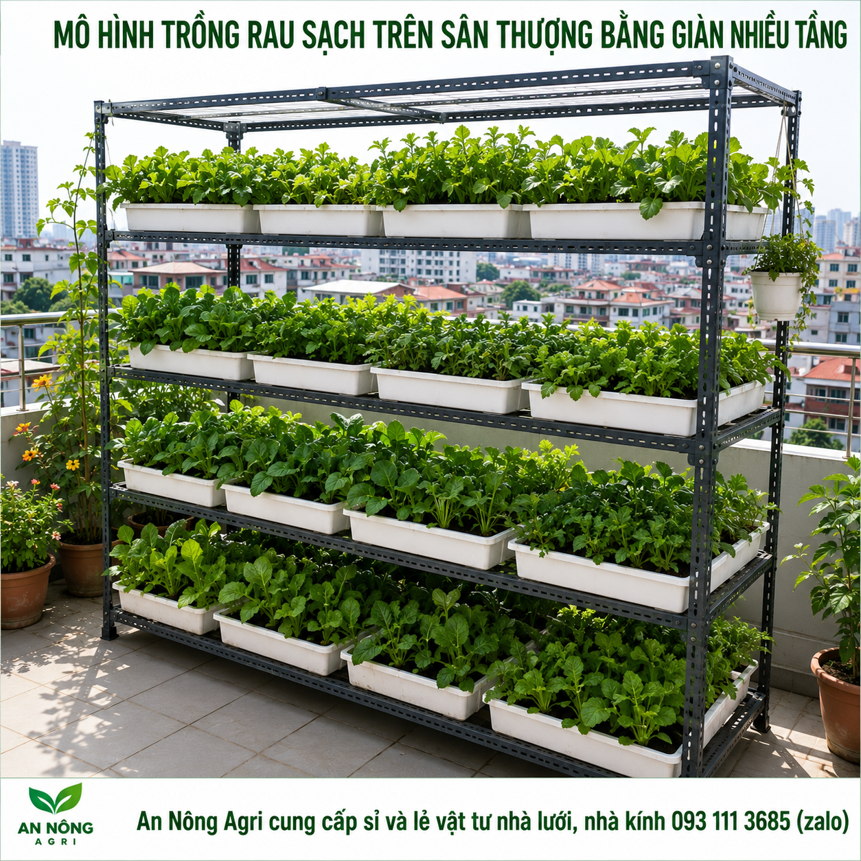 mô-hình-trồng-rau-sạch-trên-sân-thượng-an-nong-agri (1)