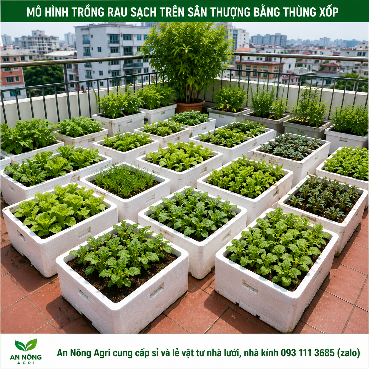 mô-hình-trồng-rau-sạch-trên-sân-thượng-an-nong-agri